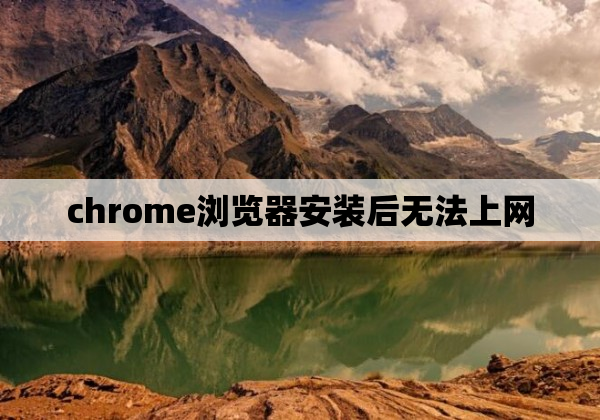 chrome浏览器安装后无法上网