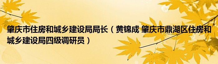 肇庆市住房和城乡建设局局长(黄锦成 肇庆市鼎湖区住房和城乡建设局