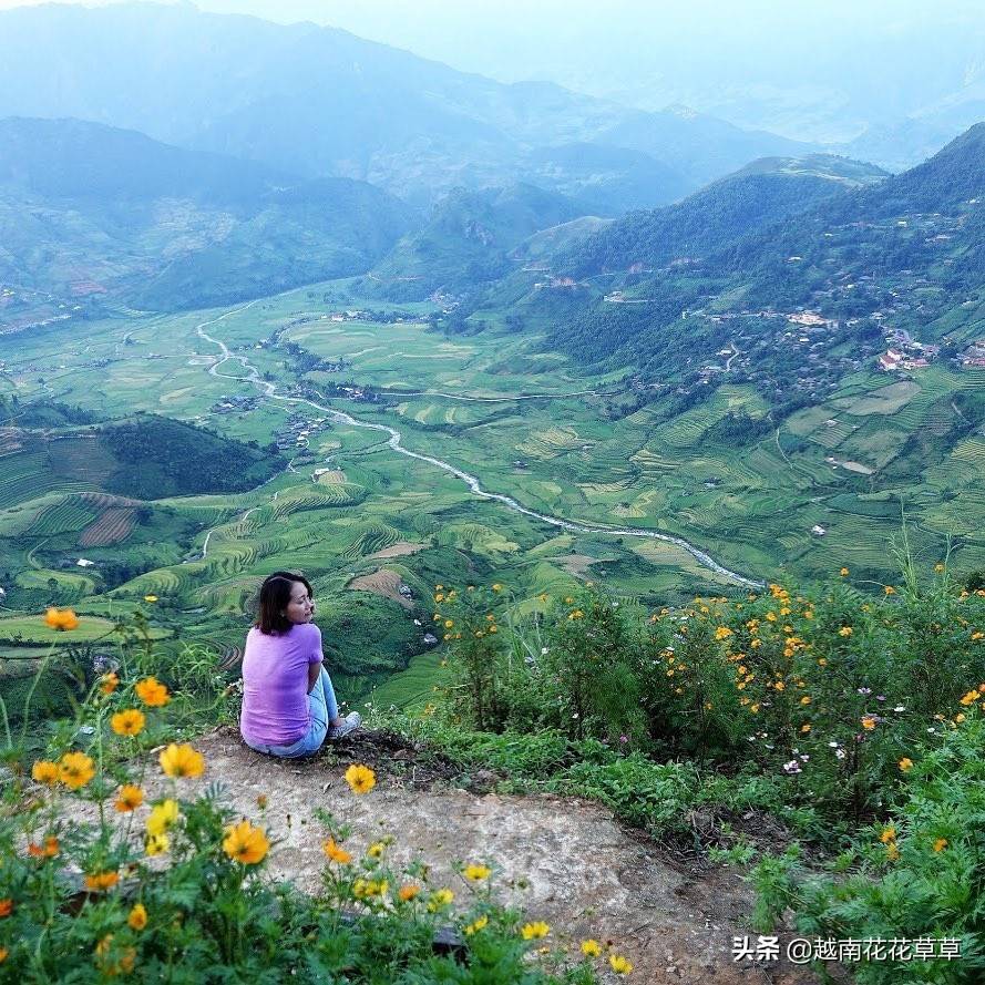 越南停发旅游签证，想去越南怎么办？