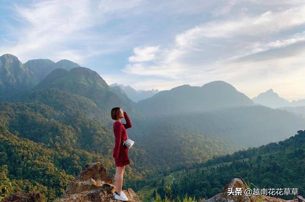 越南停发旅游签证，想去越南怎么办？