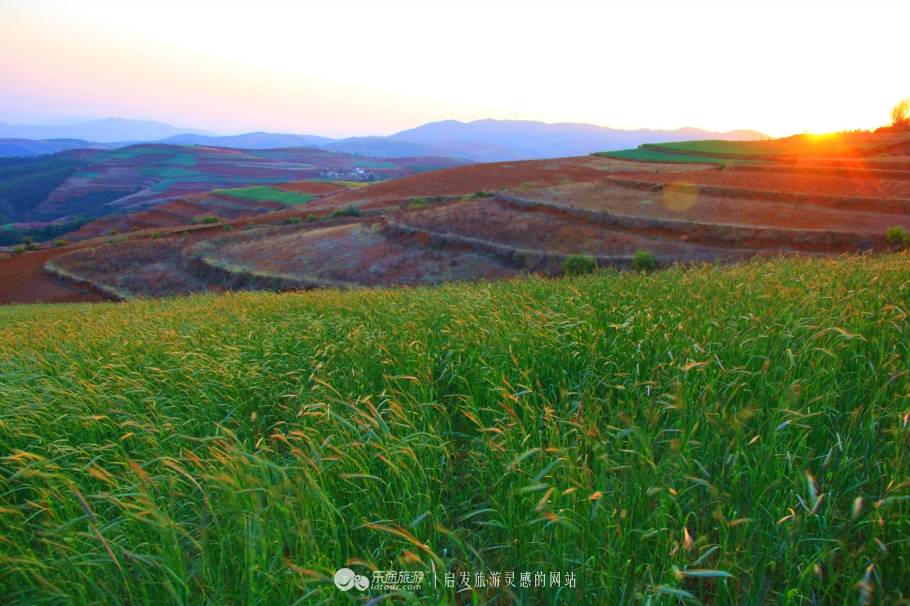 云南东川红土地，惊艳到我了