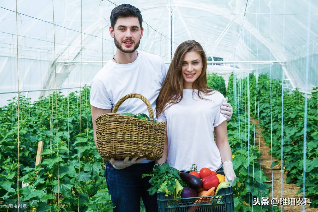 这个药具有超强抑病菌作用。被誉为瓜农的保护神 ，枯萎病的克星