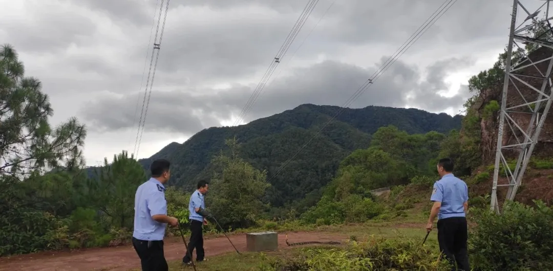 构建人与自然和谐共生，从保护野生动物开始