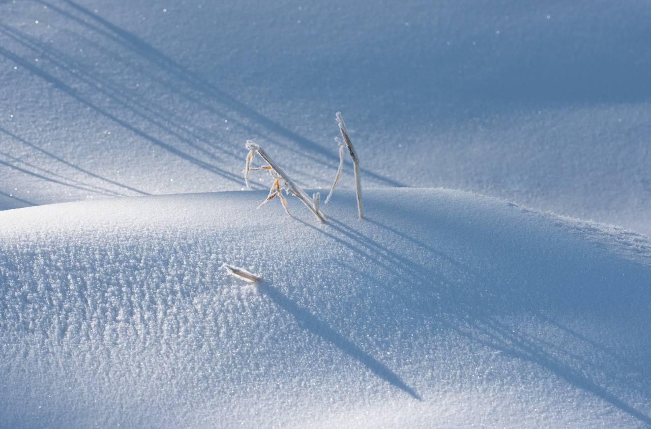 16首经典咏雪诗词，冬如画，雪如诗，赏尽冬雪之雪