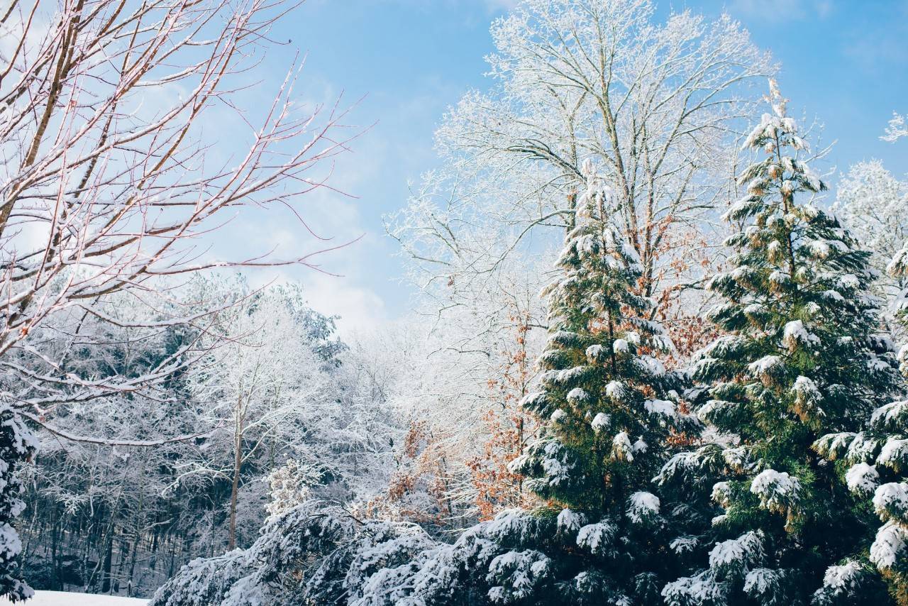 16首经典咏雪诗词，冬如画，雪如诗，赏尽冬雪之雪