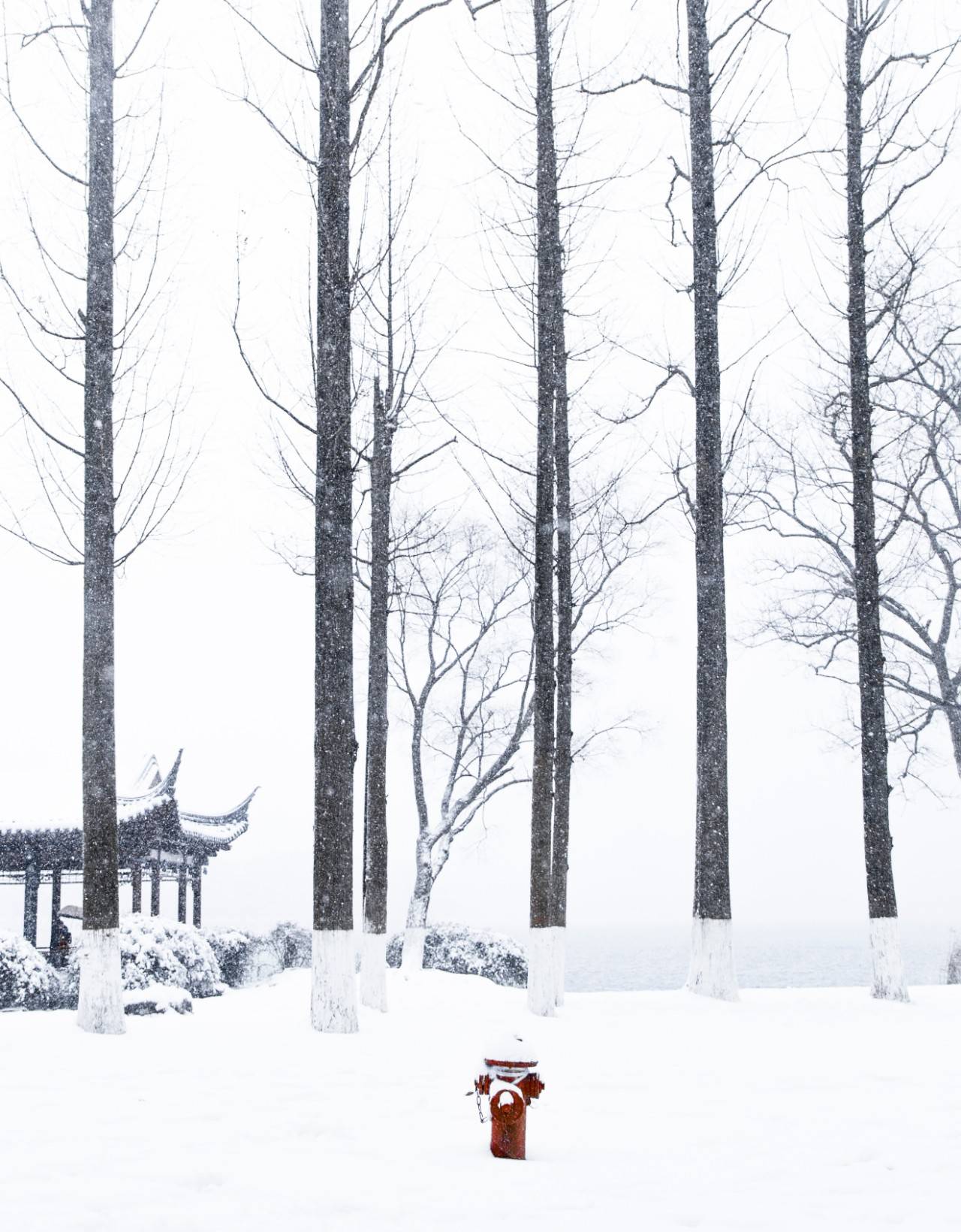 16首经典咏雪诗词，冬如画，雪如诗，赏尽冬雪之雪