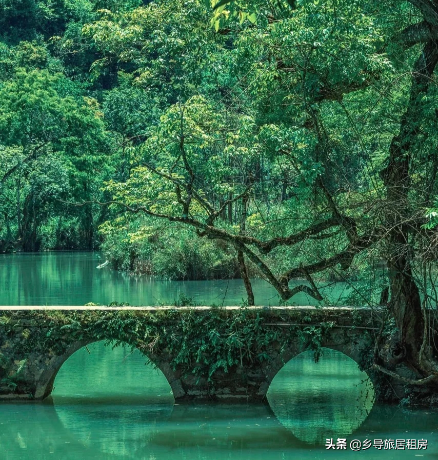 贵州避暑旅居怎么玩？看这一篇就够啦！超全攻略，赶紧收藏起来