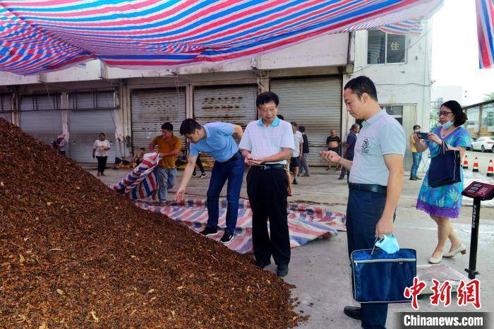 广西回应“硫磺八角”事件 已查封141吨香料送检