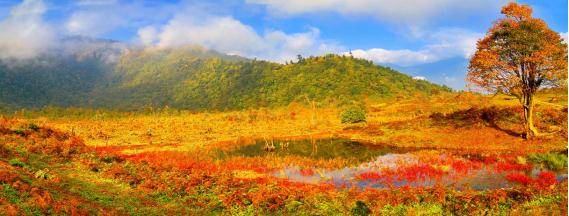 峨眉山等景区发布最新疫情防控提示