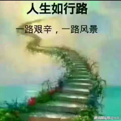 而立不惑，品味生活