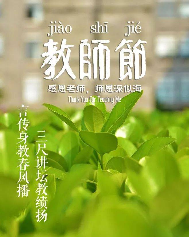 「诗词鉴赏」教师节，那些赞美老师的诗句