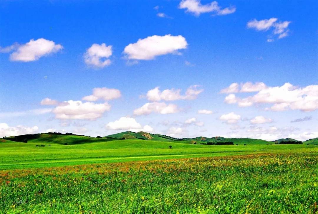 河北坝上草原最后的盛夏：避暑小天堂，迎接金秋九月