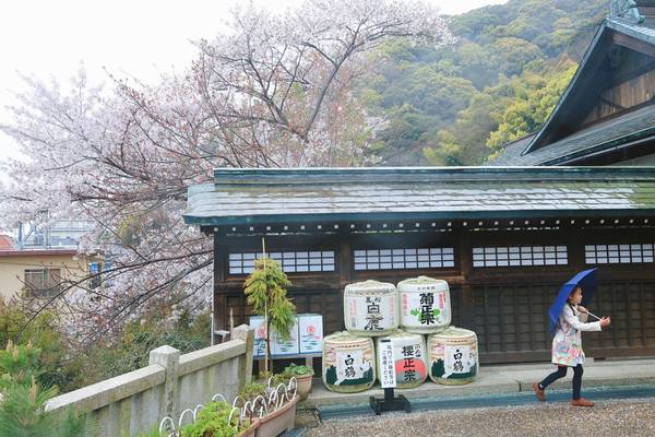 登上亚洲速度最快的邮轮，揭秘探索梦号饕餮盛宴