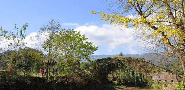 碧峰峡旅游景区推荐耍法