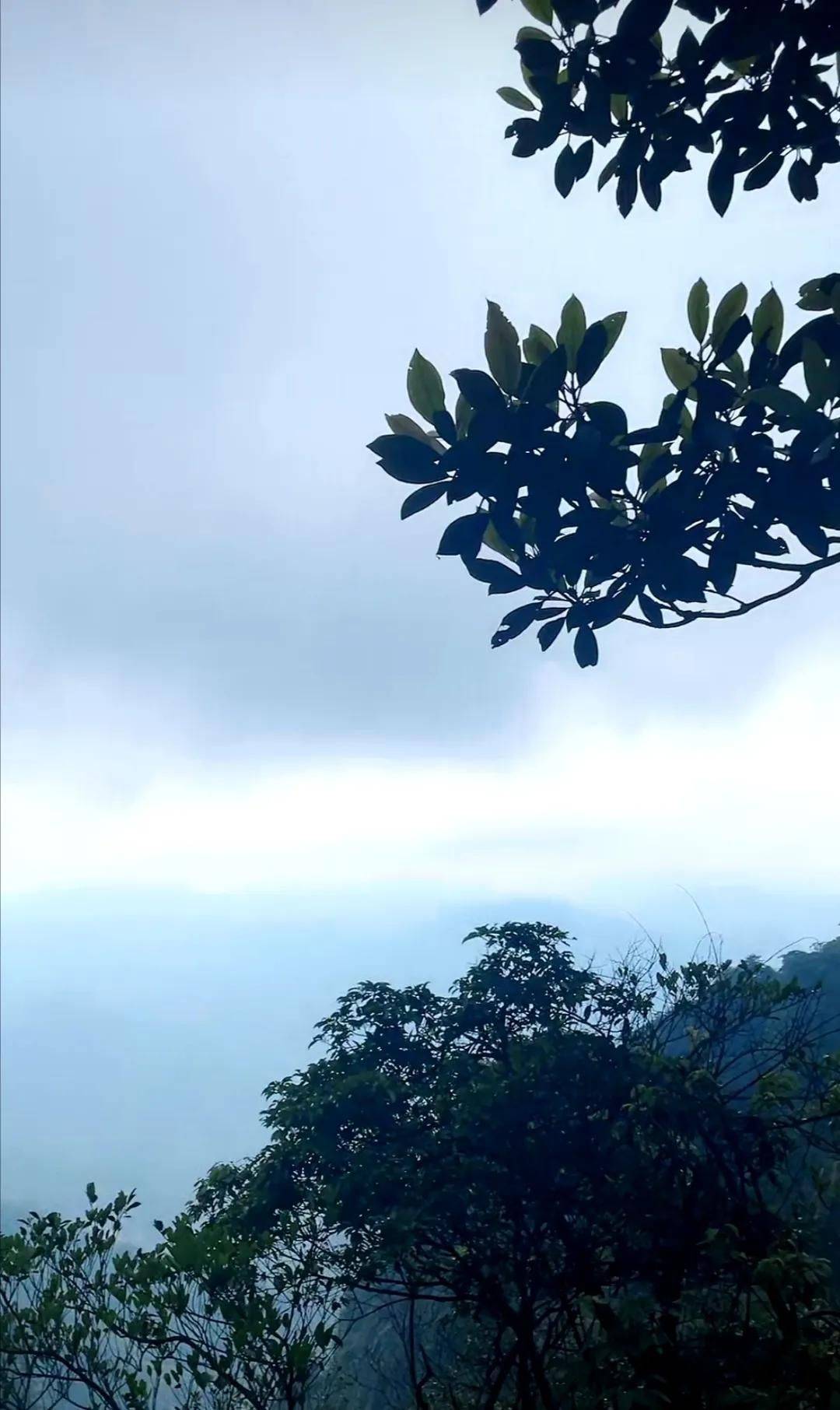 江西上饶三清山风景欣赏（一）