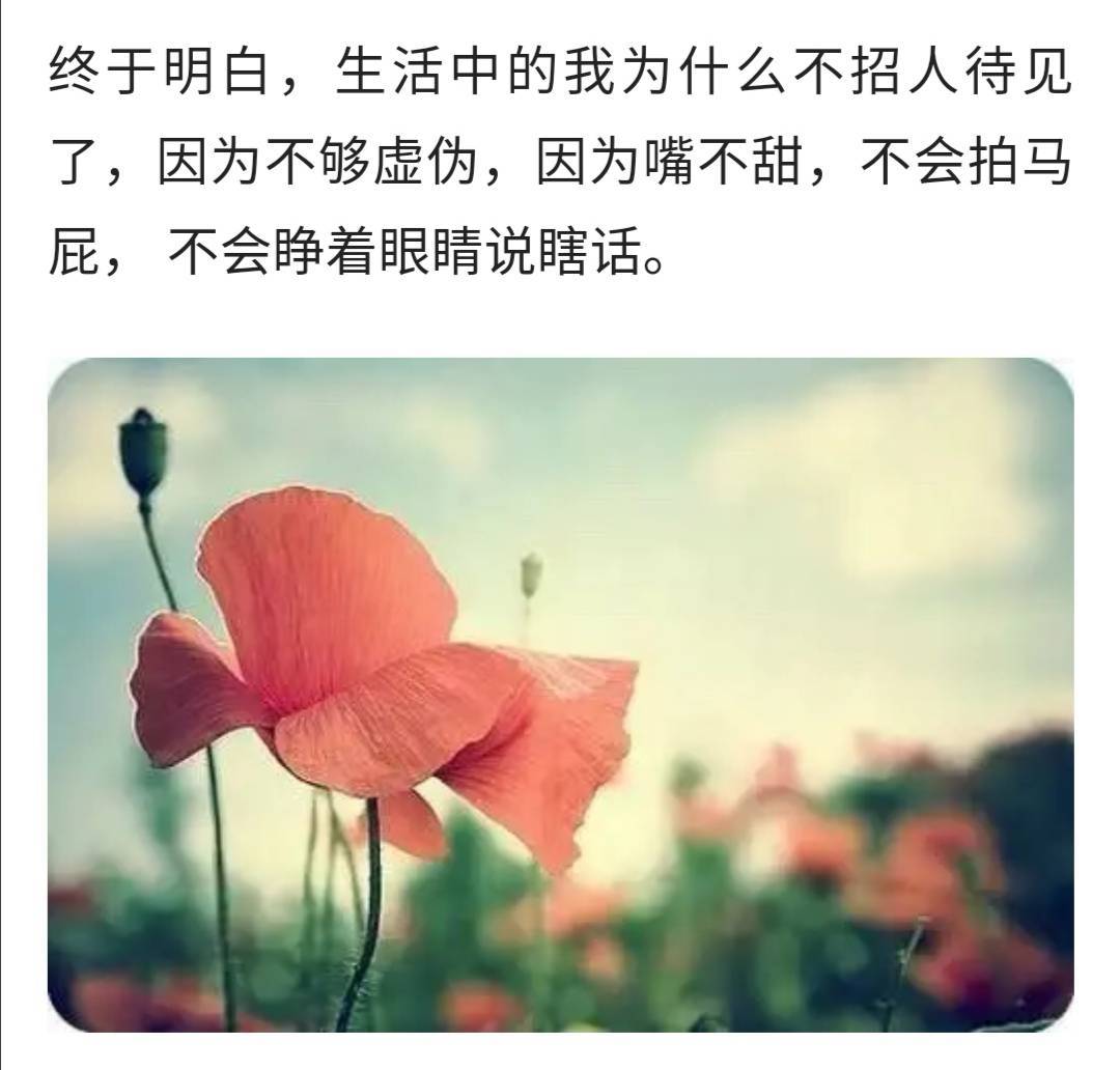 生活中的我，不招人待见