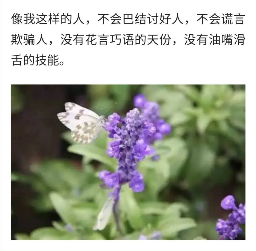 生活中的我，不招人待见