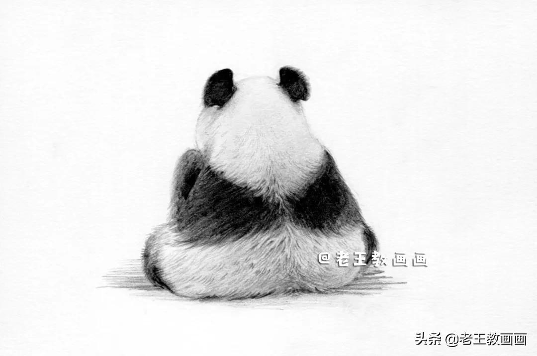 ifs熊猫手绘图片