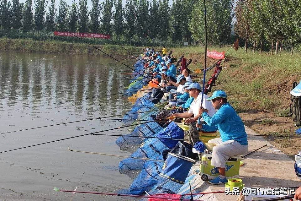 5h和6h鱼竿有啥区别？三点不同建议掌握，对选竿有用