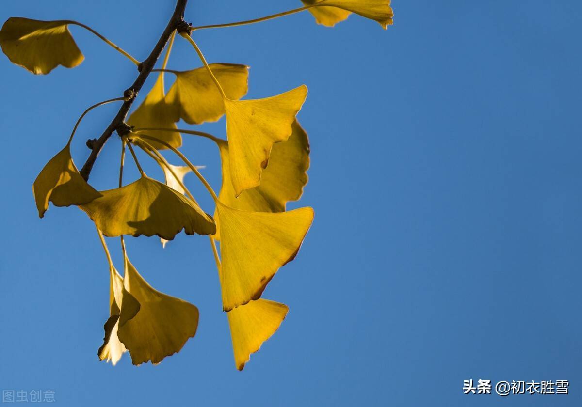 二十四节气之秋分诗四首：春分秋分昼夜中，四时成岁岁如此