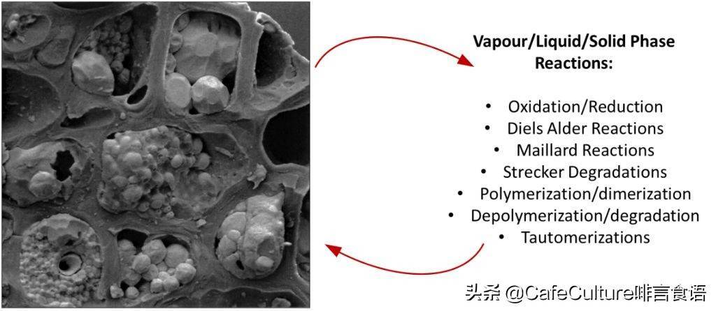 关于咖啡的保质期和变质期