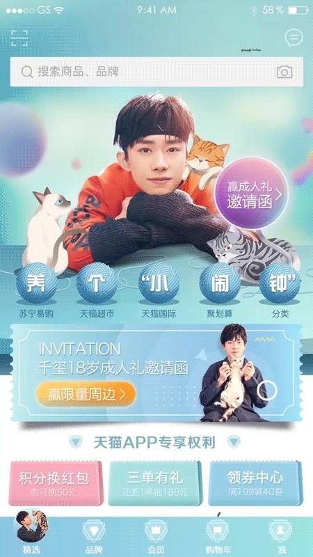 「盘点」来看看明星家都养什么猫？