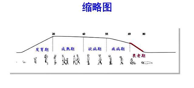 细胞知多少，人的一生，健康与之相伴