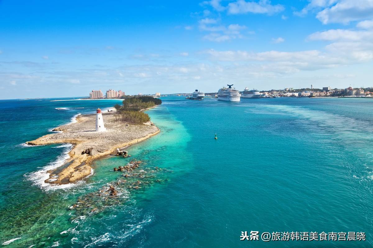 巴哈馬最全旅遊攻略,避免踩雷:追逐粉紅色沙灘,看最幸福的小豬