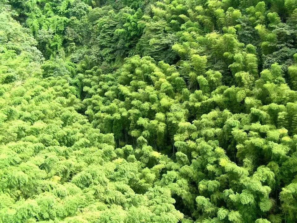 「原创」散文·烟雨朦胧醉江南