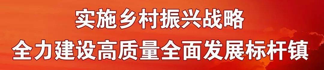 最高月薪过万！电子工程师、销售经理...丹灶企业招聘又上新