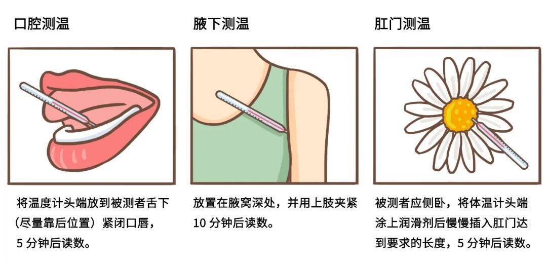 人体正常体温身体健康图片