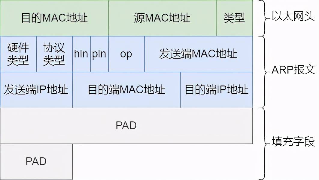 36 张图详解 ARP：网络世界没有我，你哪也别想去