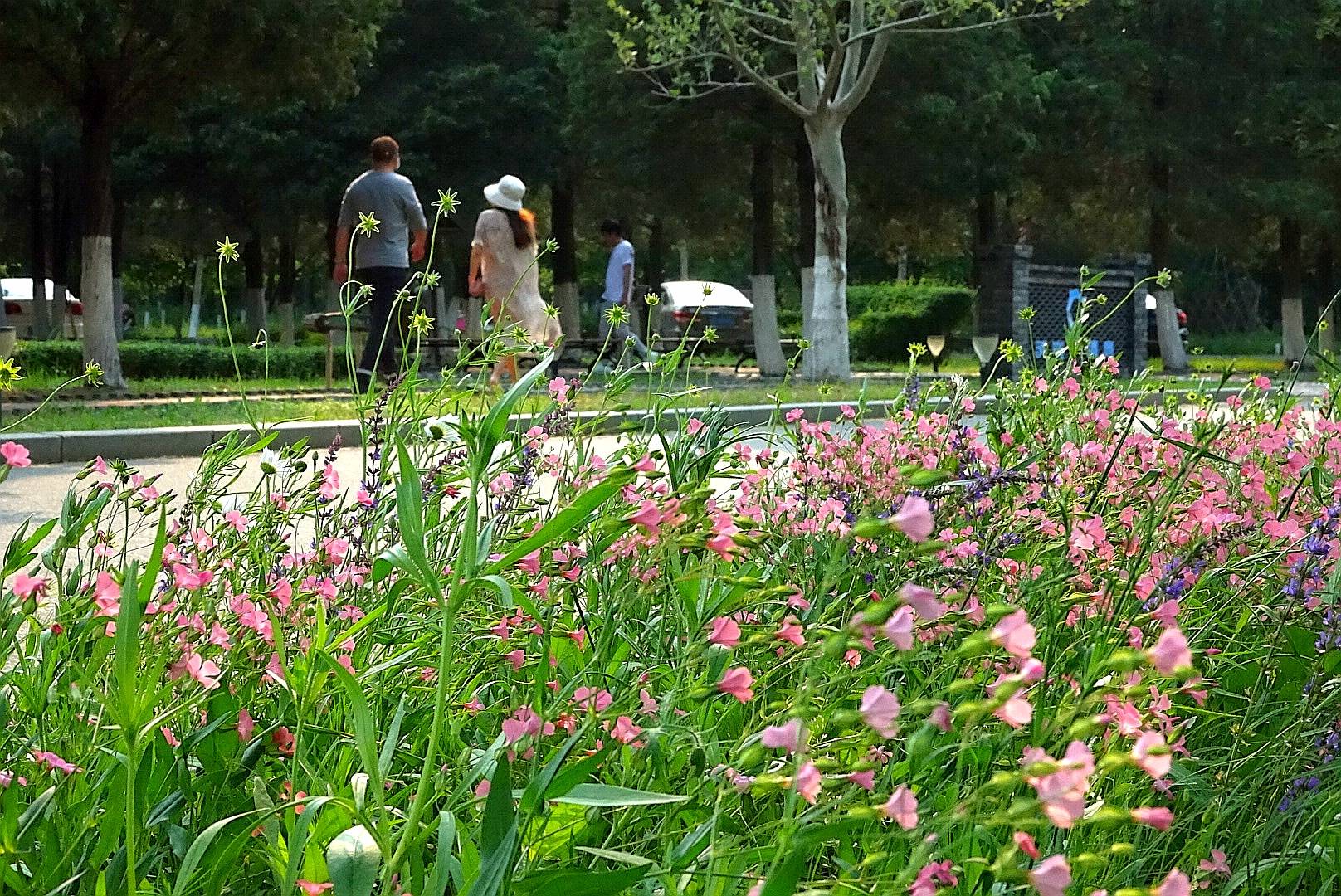 深春缓缓归 浅夏盈盈来