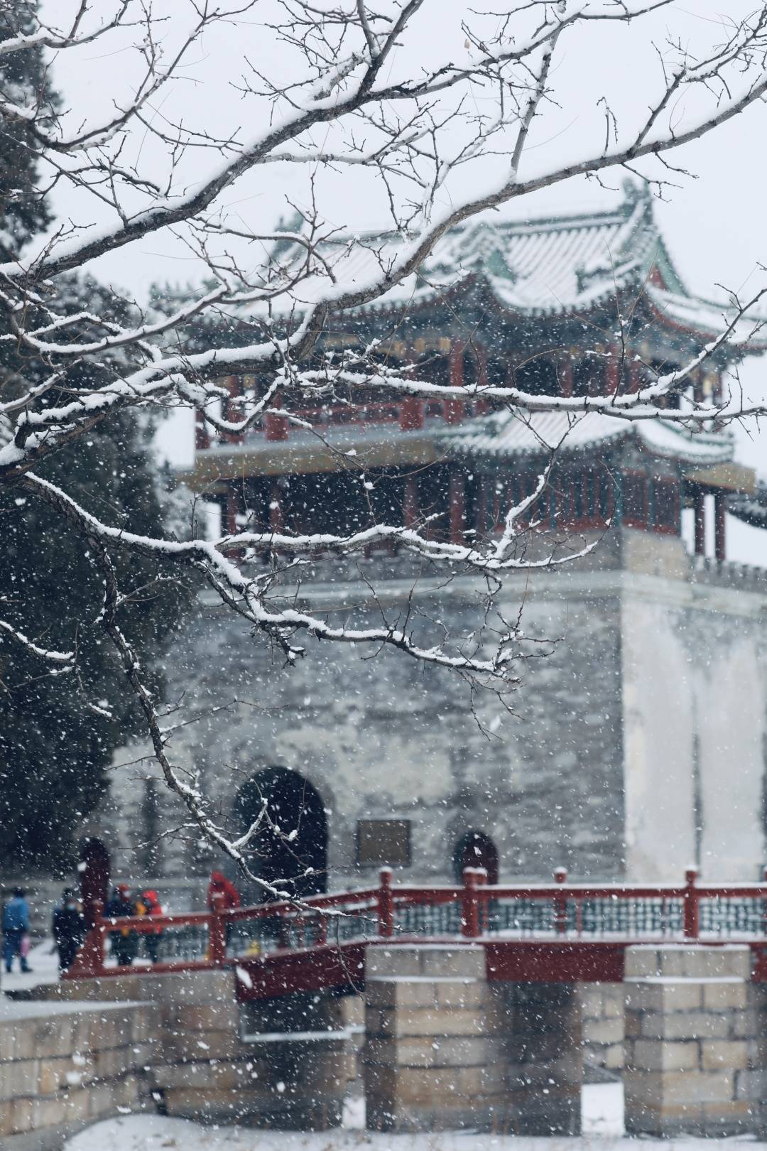 2021年初雪，北京号带您看最美的北京城