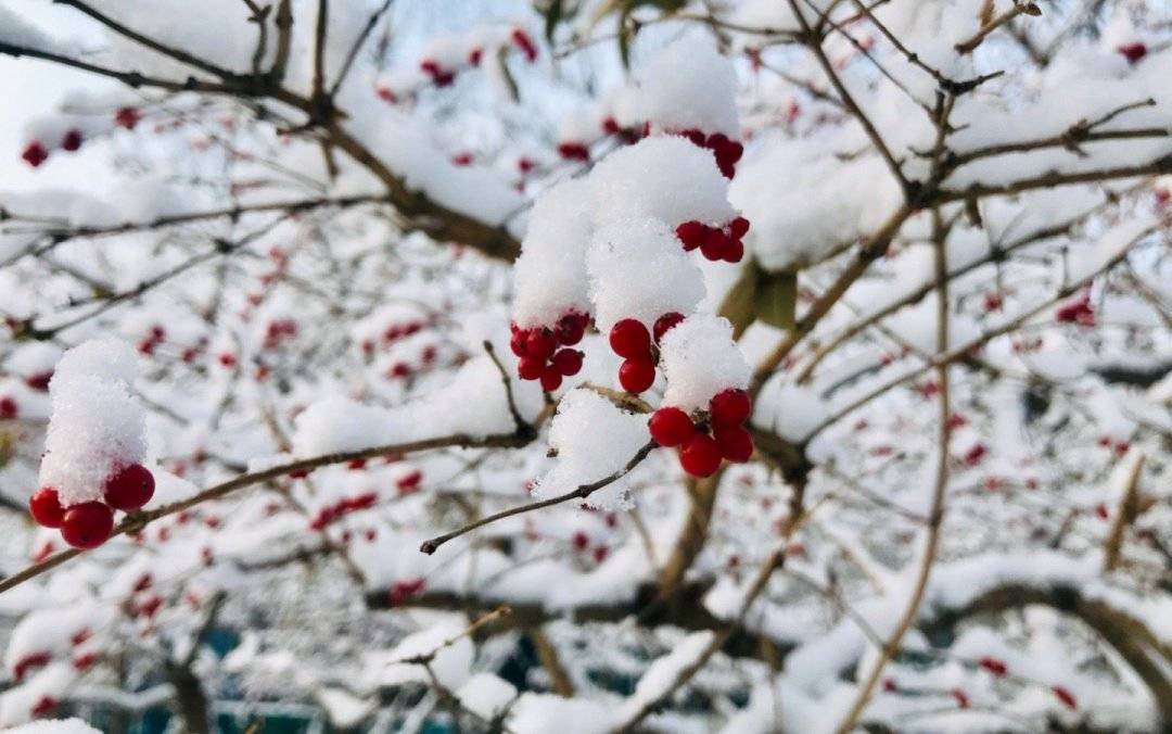 2021年初雪，北京号带您看最美的北京城