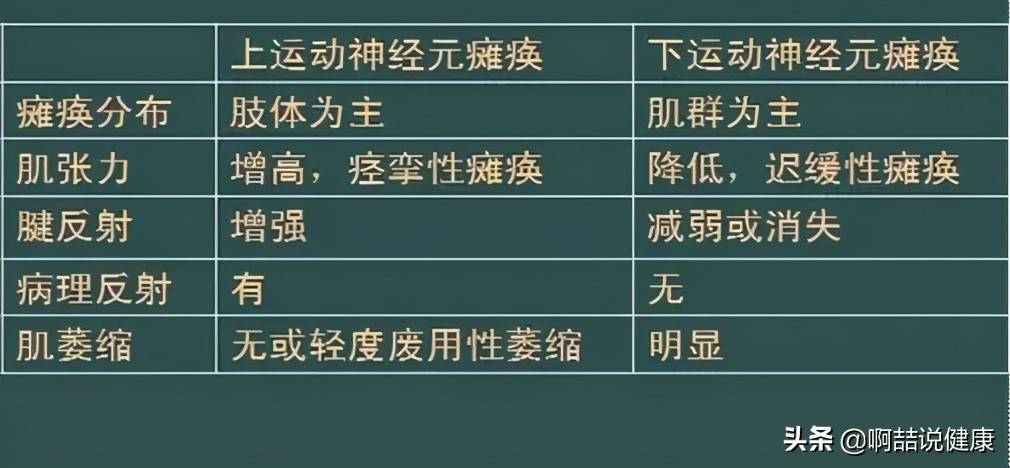 运动神经元病的中医病机特点