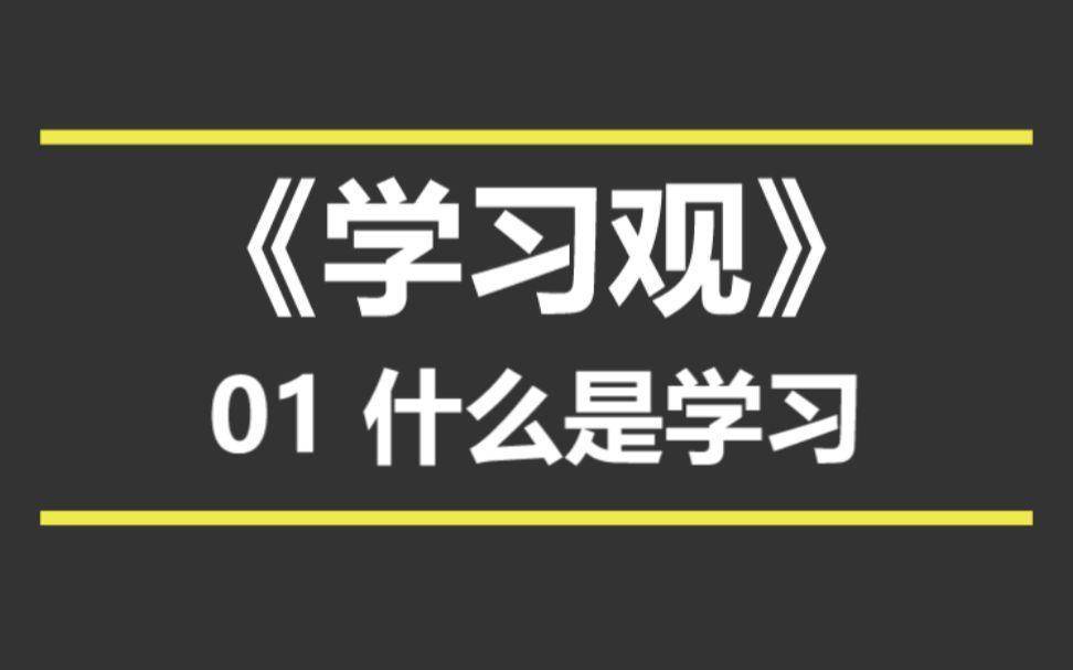 在家不无聊，B站视频刷不停——高质量珍藏UP主推荐