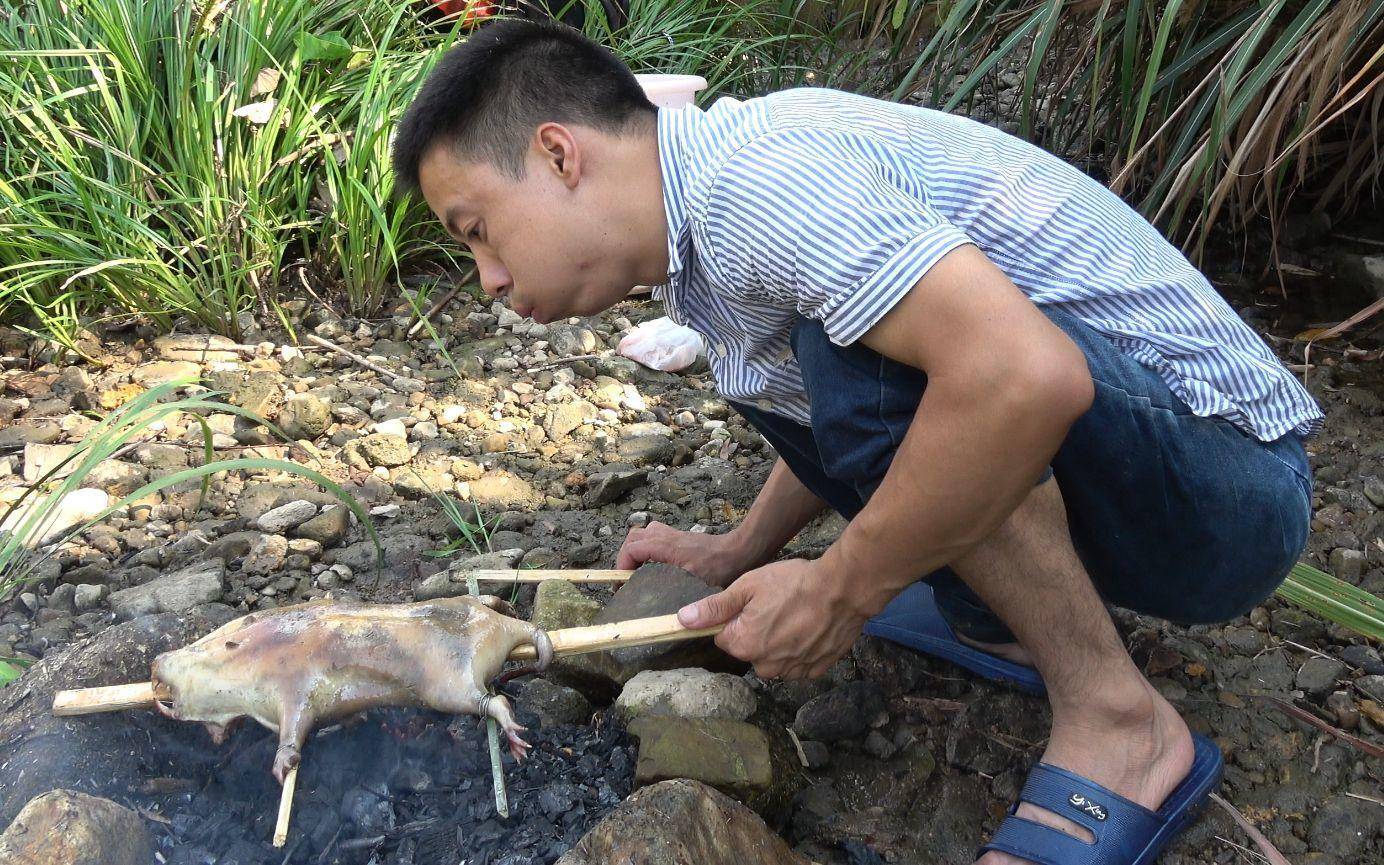 在家不无聊，B站视频刷不停——高质量珍藏UP主推荐