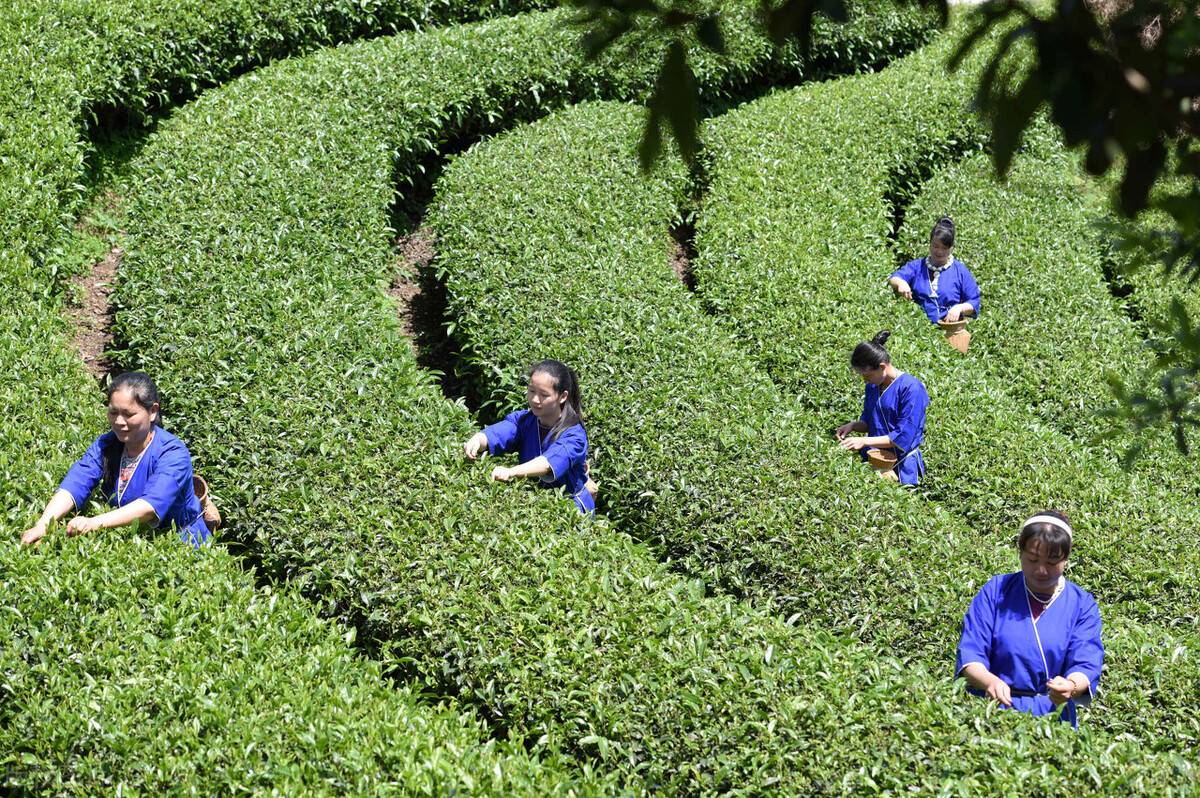 柳州必去的十大景点，看看你都去过哪几个