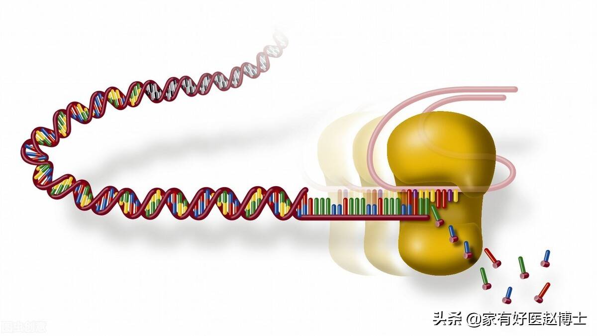 胆红素稍高一点要紧吗，哪些地方找问题？Gilbert综合征是什么？