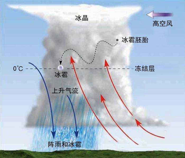 大连冰雹砸坏汽车，烟台冰雹砸坏苹果，这两场冰雹都是怎么来的？