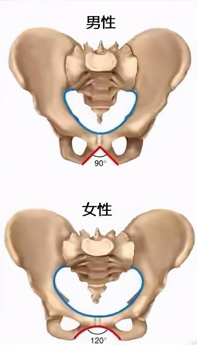 腿短怎麼變長如何有效減大腿