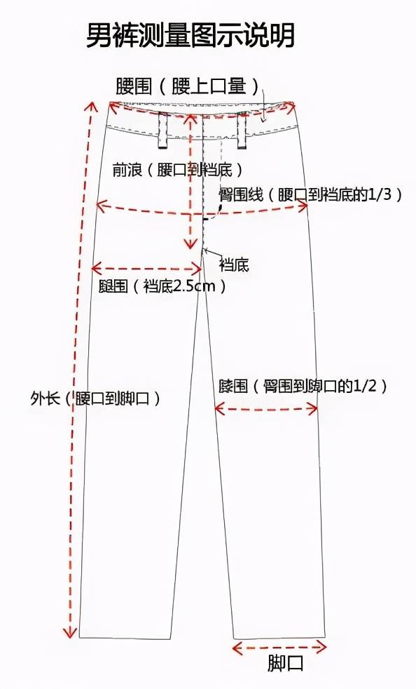 大腿围从哪开始量图片