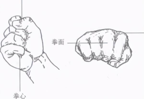 擒拿术基础动作与训练方法_武警擒拿敌术训练医学指导