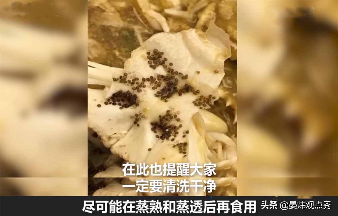 顾客鲍鱼吃出蠕动长虫 厨师：高蛋白 可以吃，网友：这次我站厨师