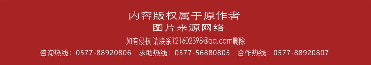 宠物经济火爆 沿街短短几百米 连开三家宠物店