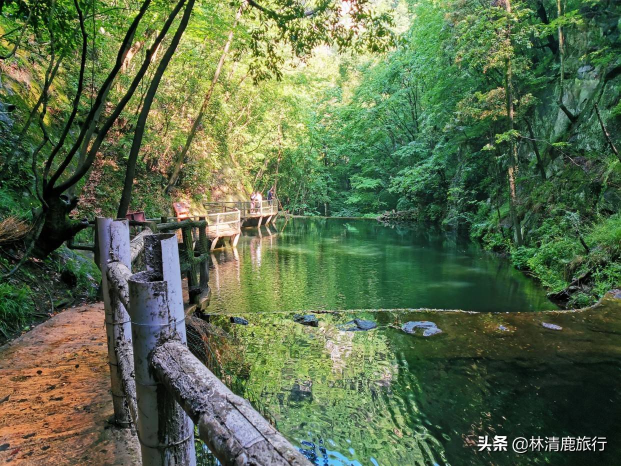 河南最适合避暑的8个景区，溪水潺潺没有太阳，山势平缓不累人