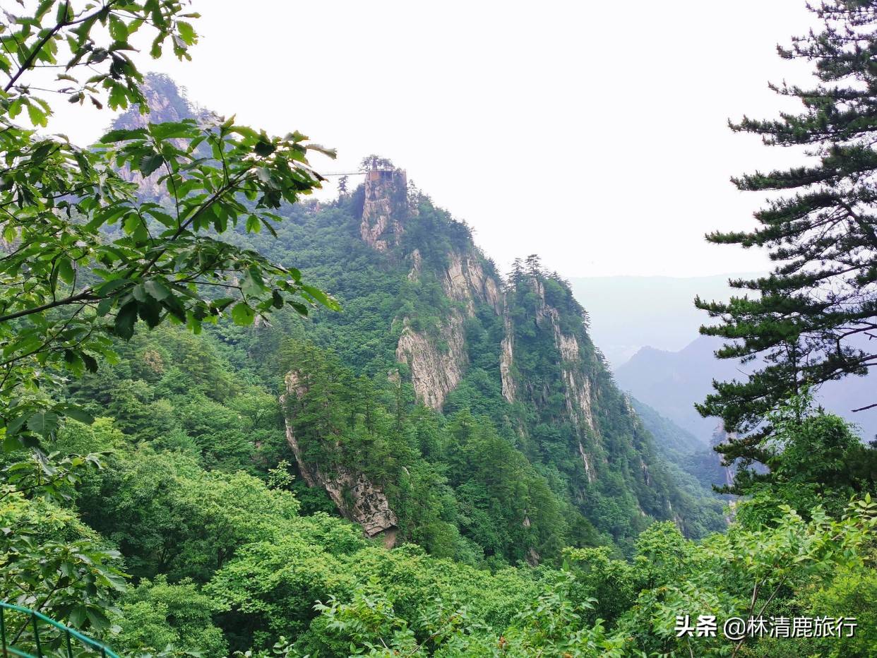 河南最适合避暑的8个景区，溪水潺潺没有太阳，山势平缓不累人