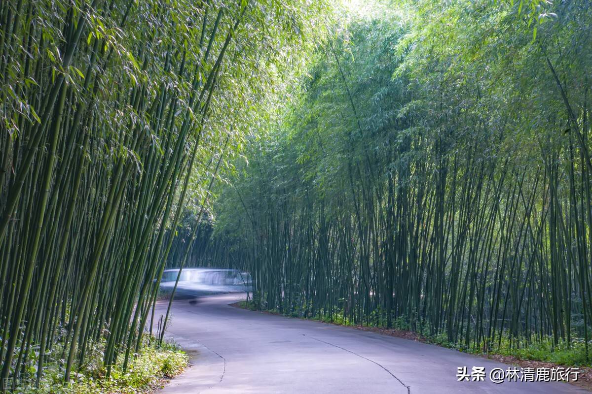 河南最适合避暑的8个景区，溪水潺潺没有太阳，山势平缓不累人