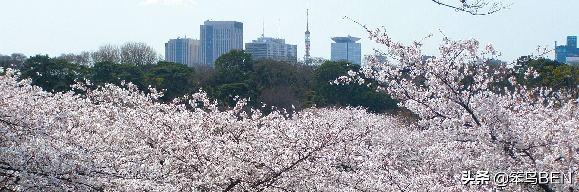 日本的首都东京Tokyo，一起了解真实的东京